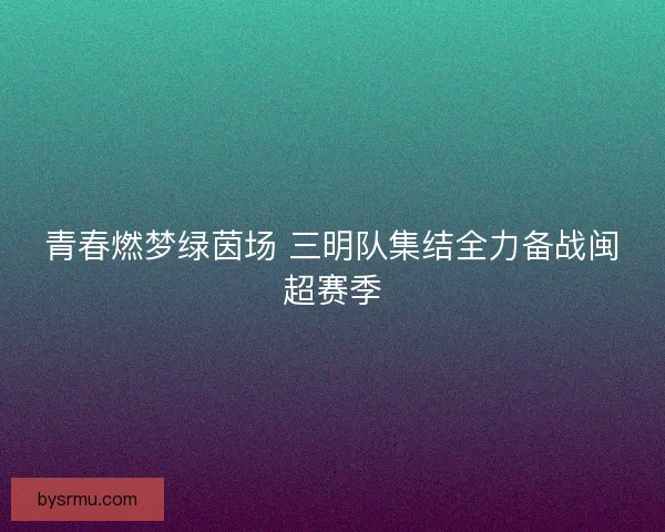 青春燃梦绿茵场 三明队集结全力备战闽超赛季