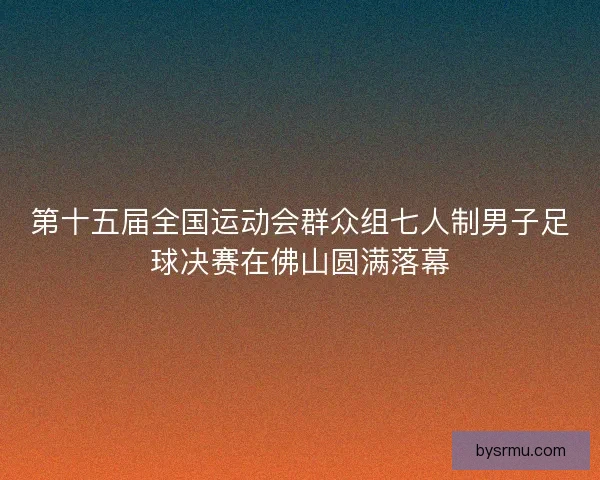 第十五届全国运动会群众组七人制男子足球决赛在佛山圆满落幕