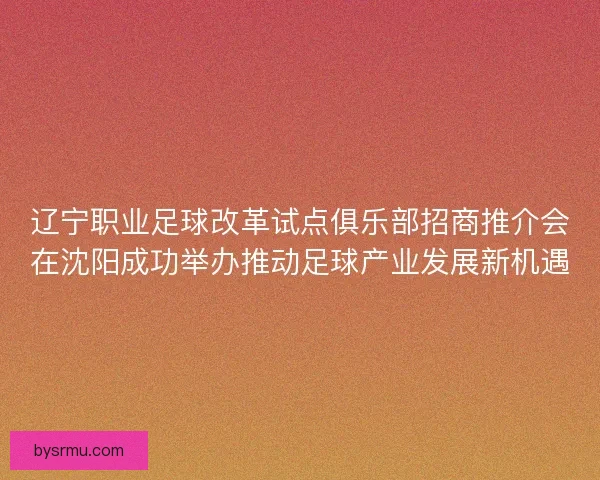 辽宁职业足球改革试点俱乐部招商推介会在沈阳成功举办推动足球产业发展新机遇 辽宁职业足球改革试点俱乐部招商推介会在沈阳成功举办推动足球产业发展新机遇